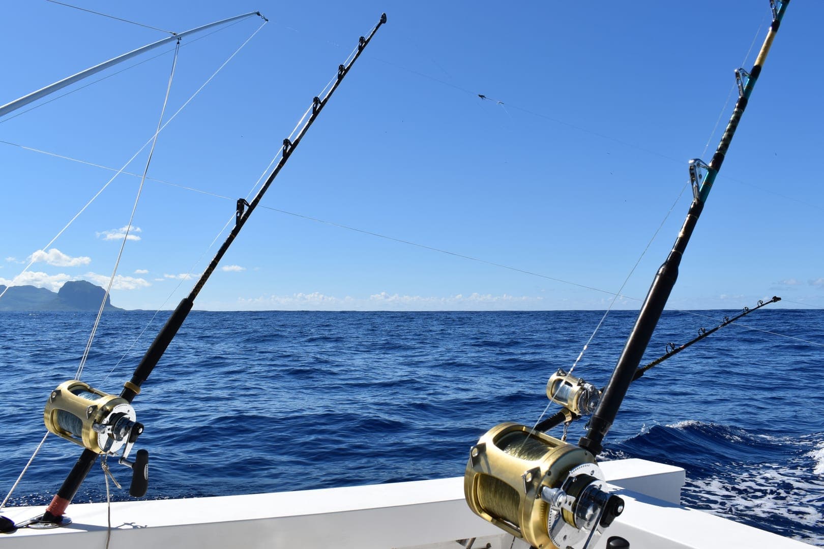 Fishing Charters