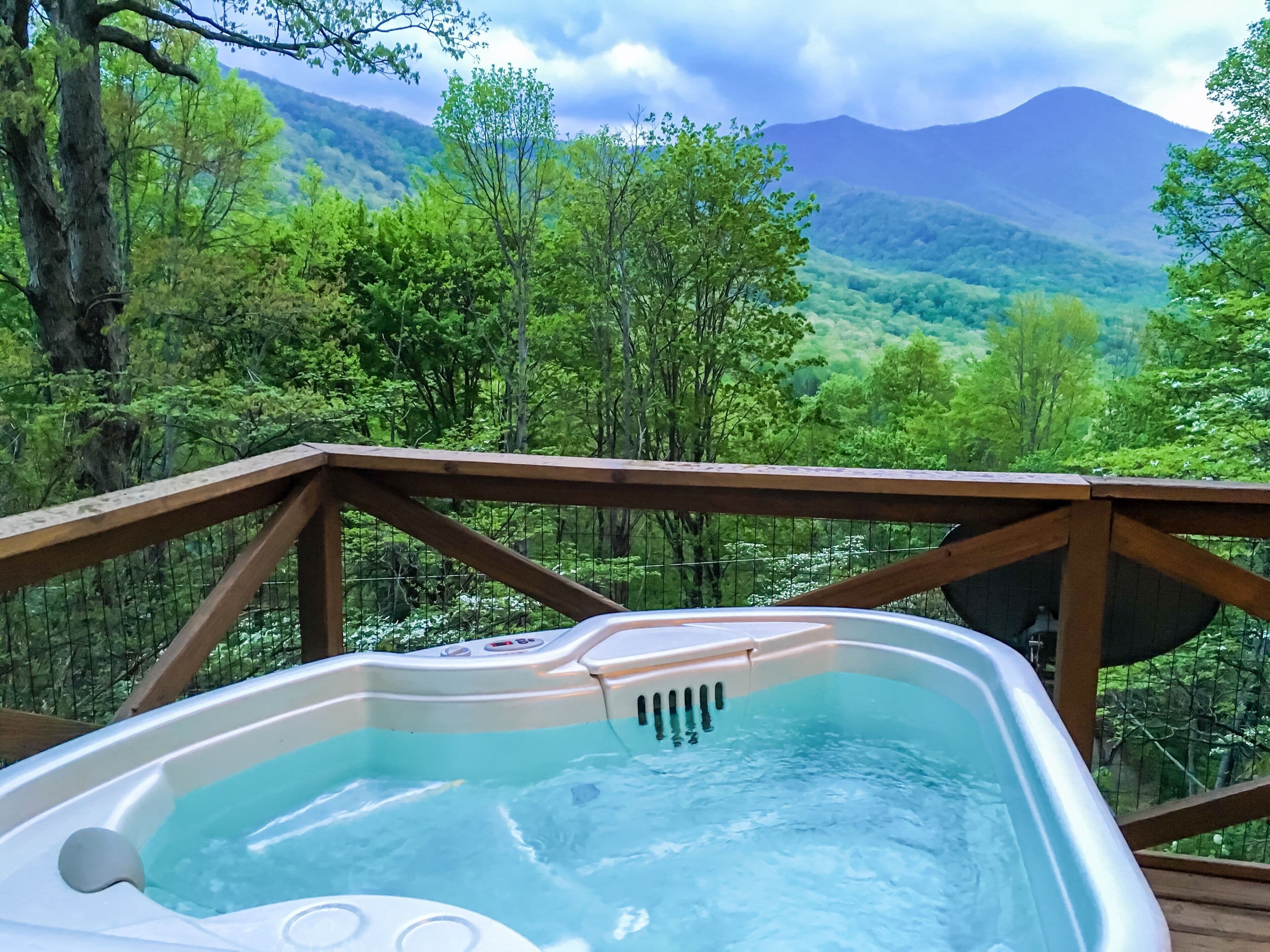 Nancy's Treetop Mountain Vista~ Romantic~Hot Tub~Cool Hikes~Amazing Views!
